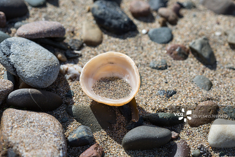 装满沙子和水的笠形贝壳图片素材