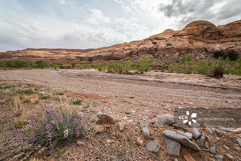干涸的河床图片素材