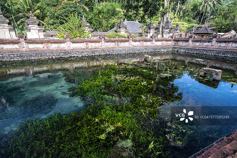 巴厘岛圣泉水图片素材