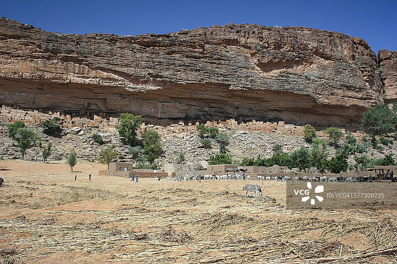 多贡族的泰利村图片素材