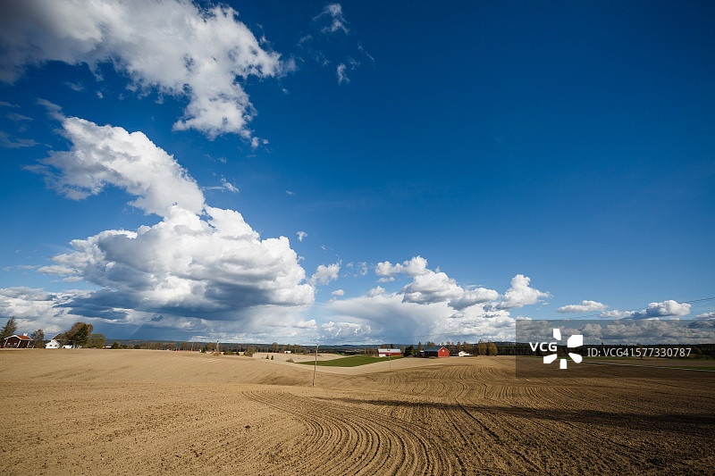 早春的田野图片素材