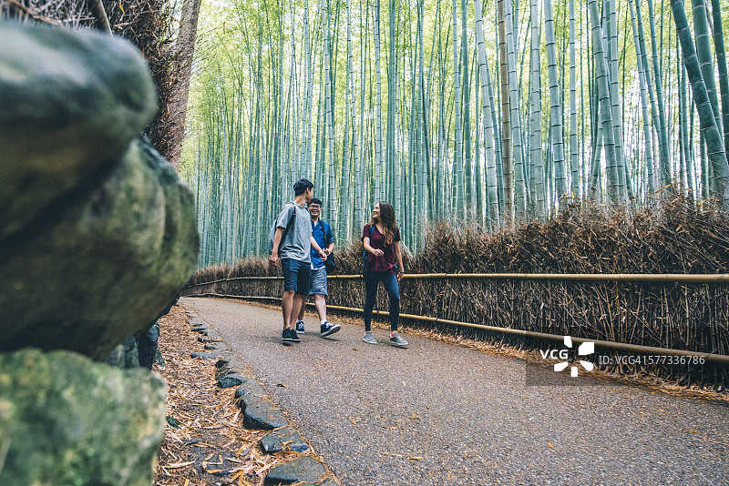 京都必看的竹林地标图片素材