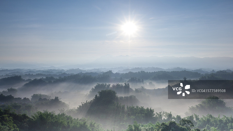 中国台湾山谷竹林沐浴在阳光下图片素材