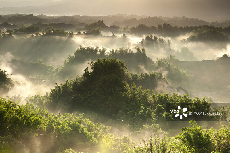 绿色山谷中的金色薄雾图片素材