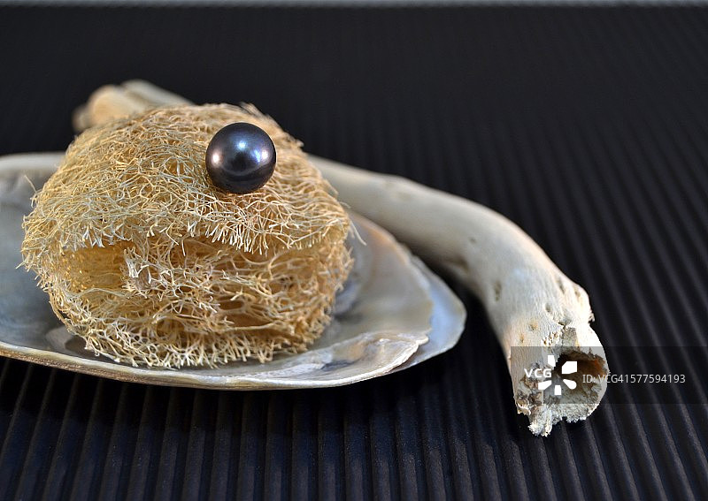 天然海绵上的黑色珍珠图片素材