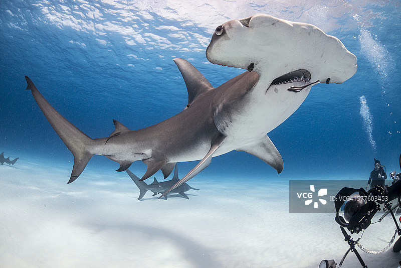 尺寸的重要性图片素材