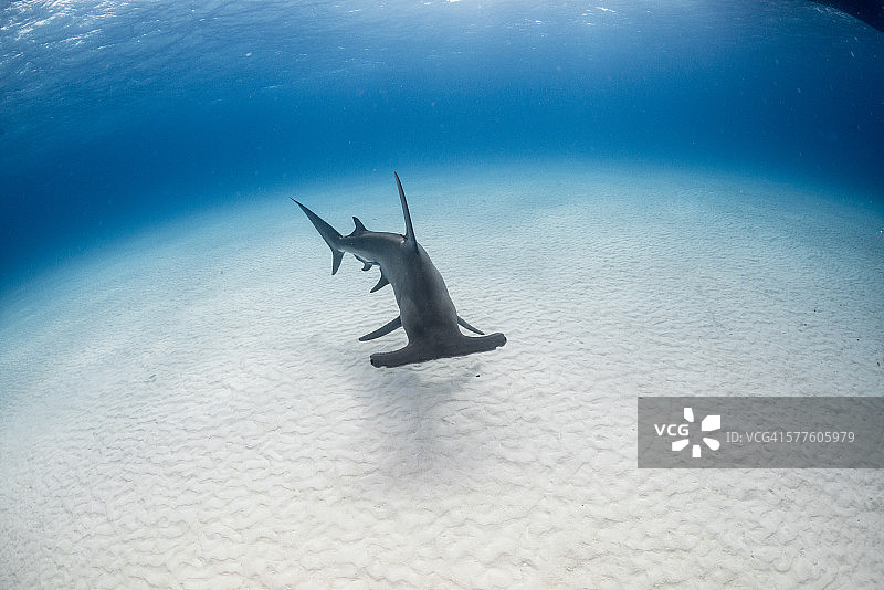 黑暗的阴影图片素材