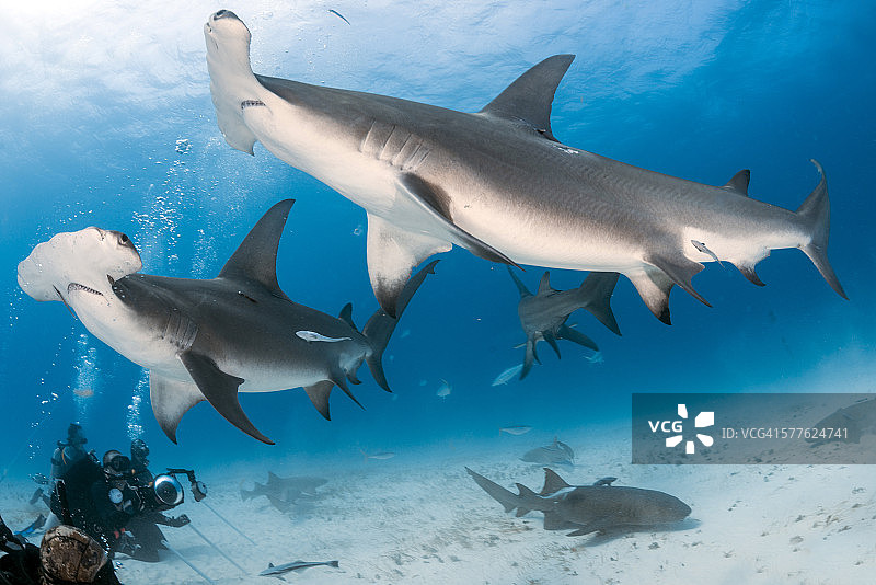 黑暗的阴影图片素材