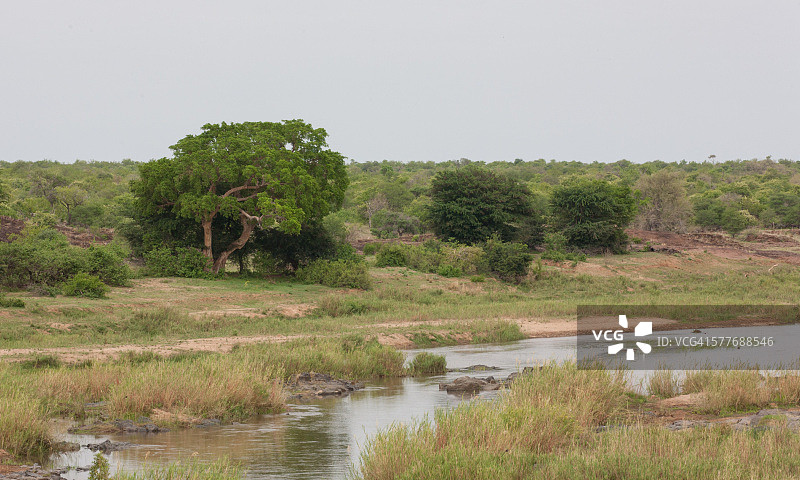 克鲁格国家公园荒野河流景观图片素材
