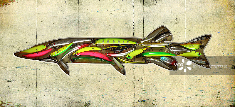 梭鱼形状内的鱼饵图片素材