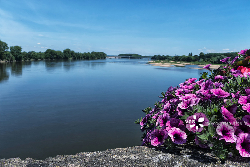 前景鲜花盛开的卢瓦尔河风光图片素材