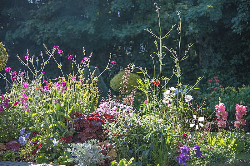 英国斯塔福德郡的美丽花园图片素材