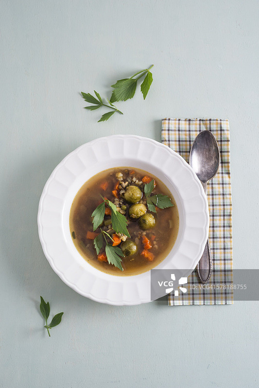 含谷物和独活草的蔬菜汤图片素材