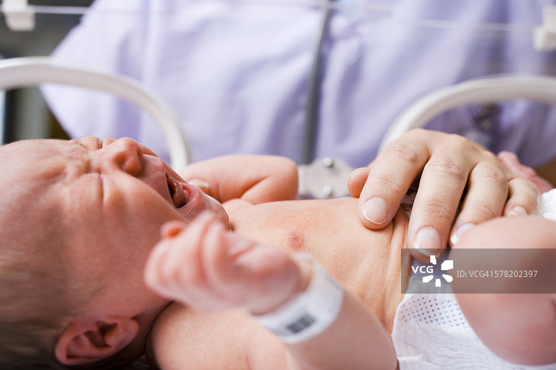 护士检查在保育箱中哭泣的新生儿图片素材