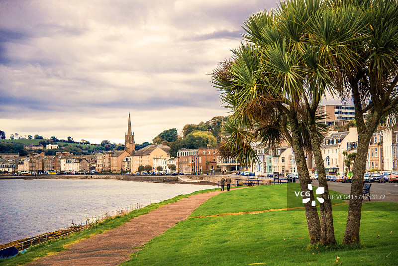 棕榈树，罗撒西海滨，比特岛，阿盖尔，苏格兰图片素材