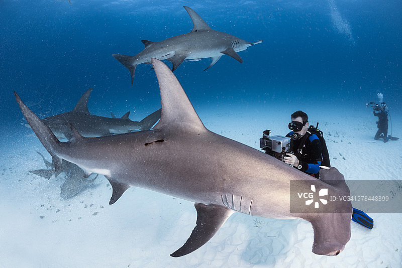 在深处图片素材