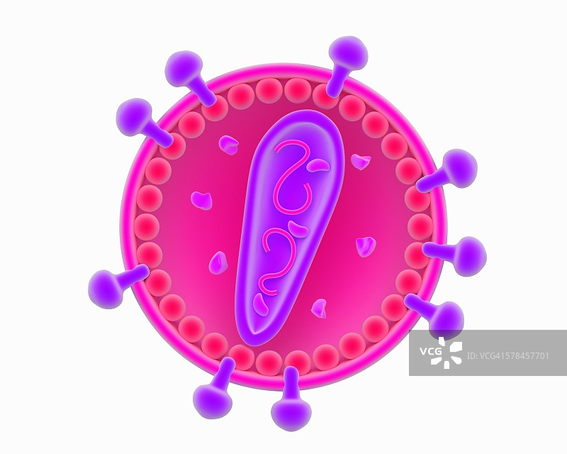 逆转录病毒病毒粒子插图图片素材