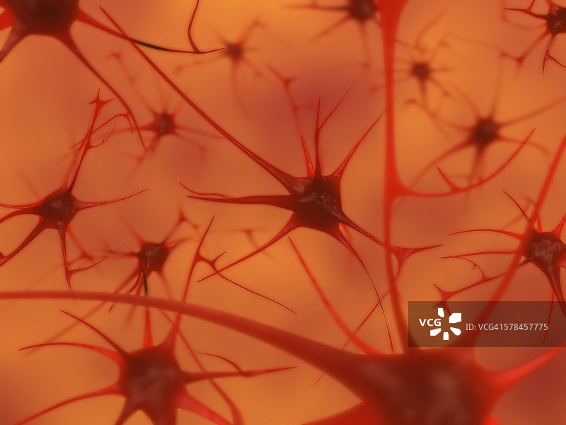 3D图：大脑神经元图片素材