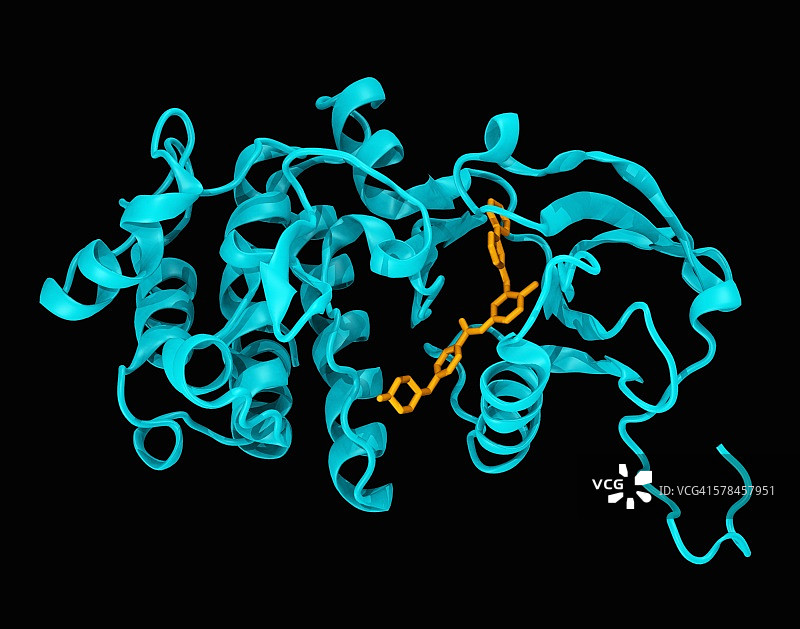 c-abl激酶结构域（青色）与伊马替尼（格列卫）（橙色）复合物的晶体结构图片素材