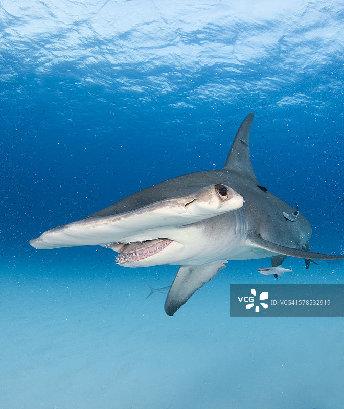 引人入胜图片素材