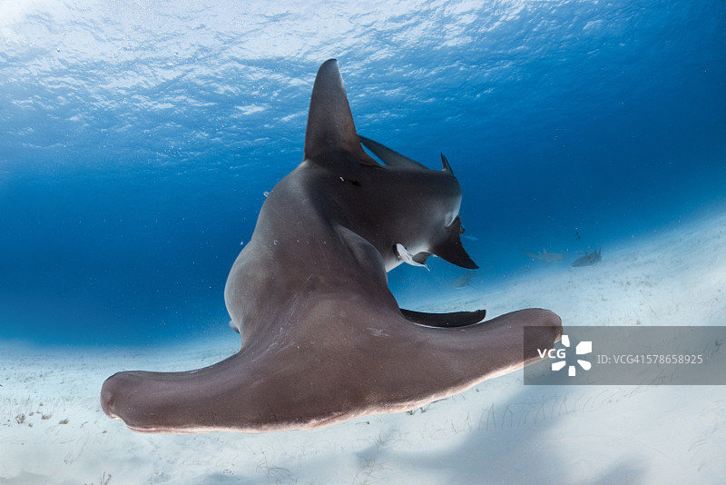 保持距离图片素材