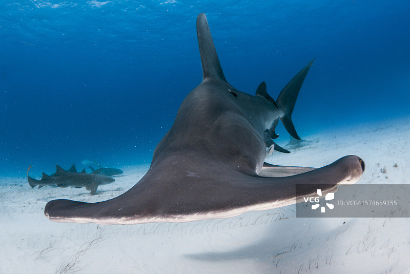 最好小心图片素材