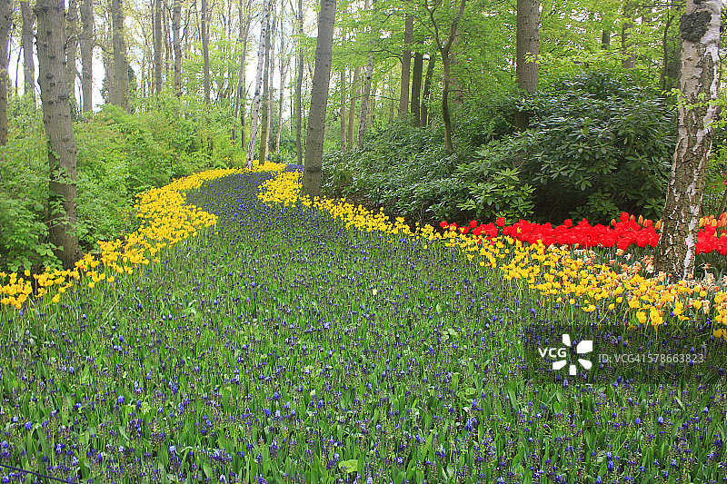 花卉地毯图片素材