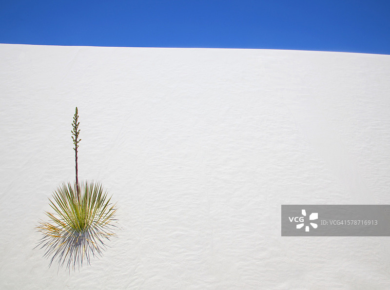 白色沙堆图片素材