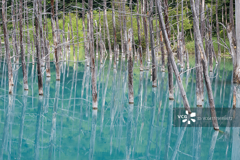 蓝色池塘图片素材