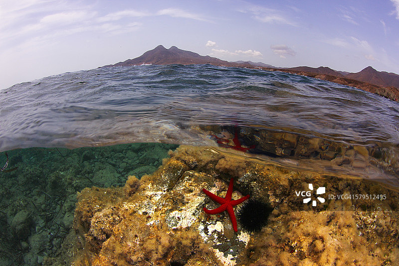 在海底图片素材