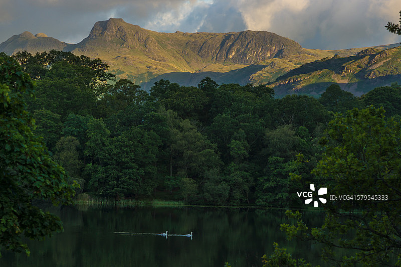 天鹅湖图片素材