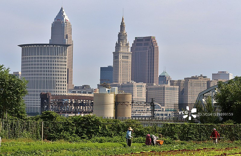 克利夫兰天际线的市中心花园图片素材