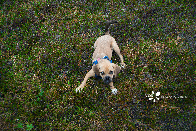 一起玩吧！图片素材