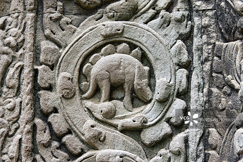 塔布茏寺的恐龙图片素材