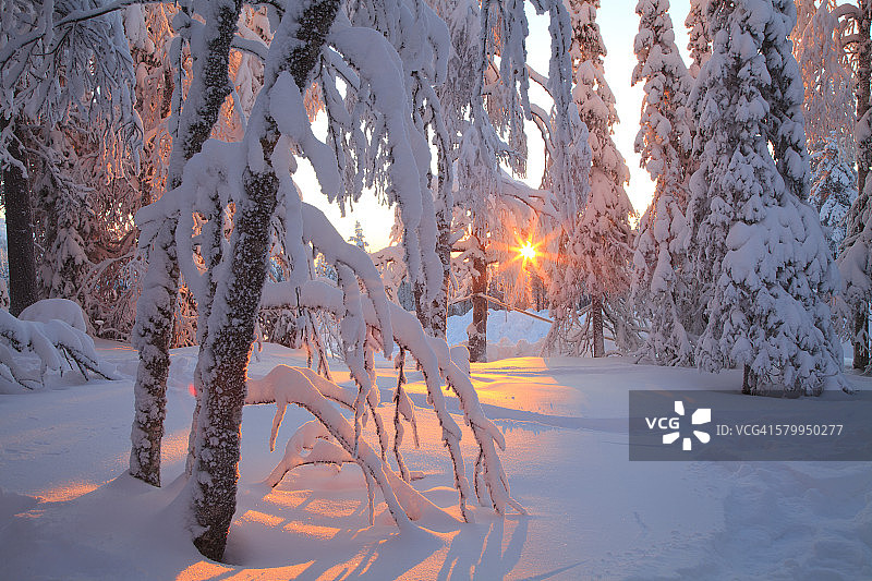 美丽的雪景图片素材