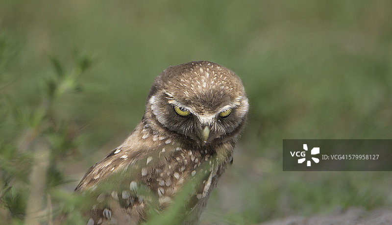 别惹我生气，你不会喜欢我生气的样子图片素材