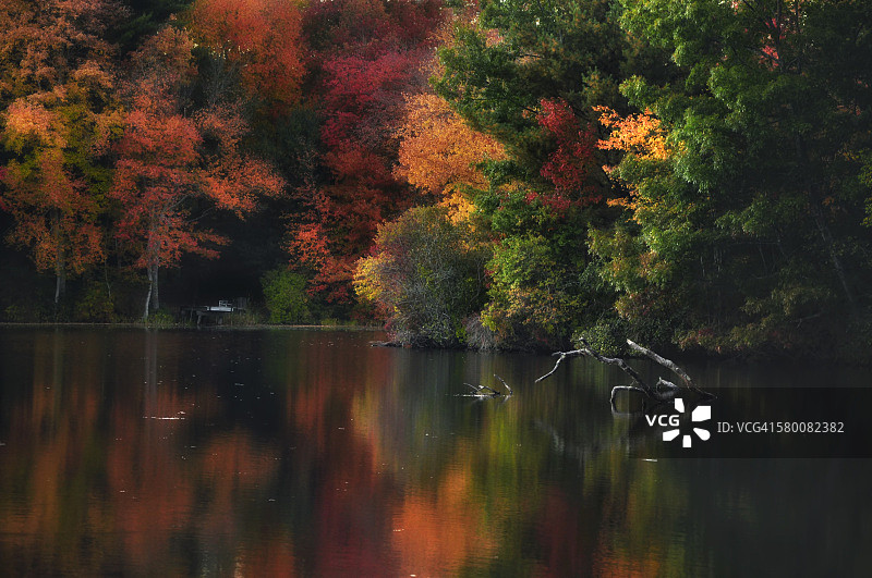 罗德岛的秋色图片素材