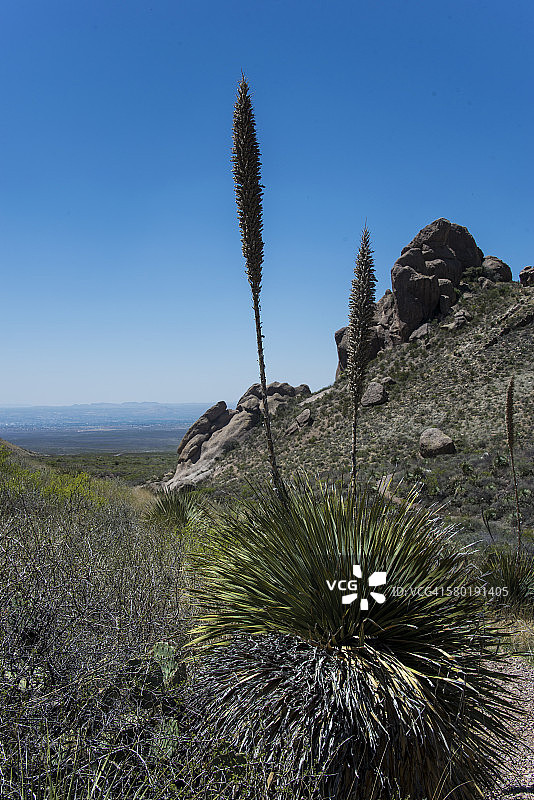 风琴山脉-沙漠峰国家纪念碑图片素材