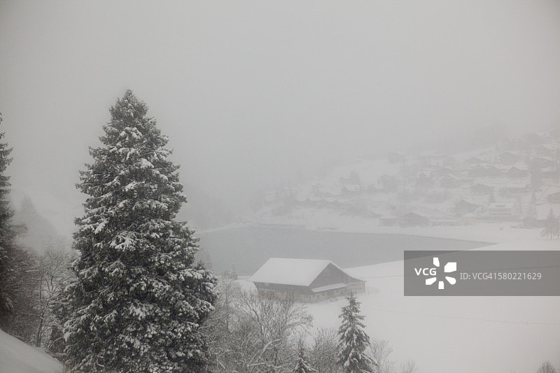 雪地下的圣诞树和小木屋图片素材