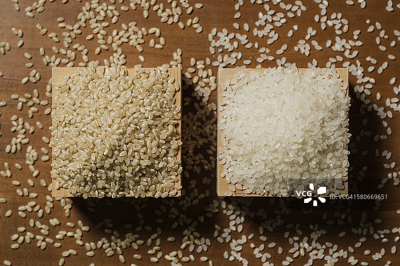 糙米和白米图片素材