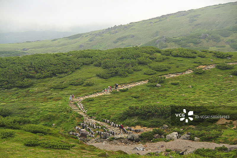 旭岳自然步道图片素材