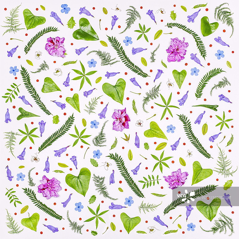 花叶无缝图案（白色背景）图片素材