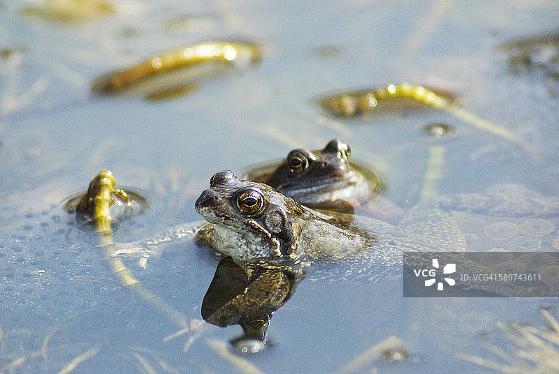 托儿所图片素材