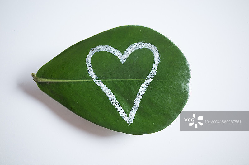 粉笔在叶子上画的心形图片素材