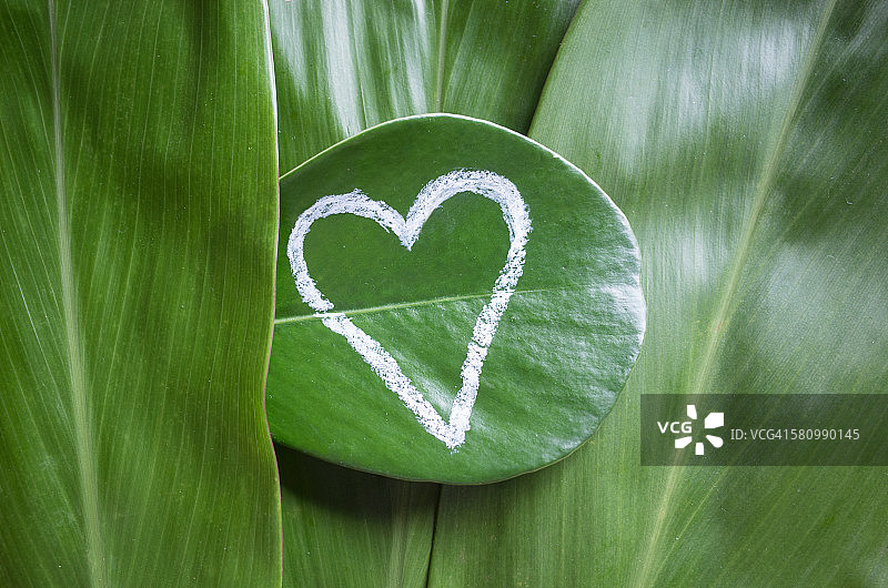 落叶堆上手绘心形叶子图片素材