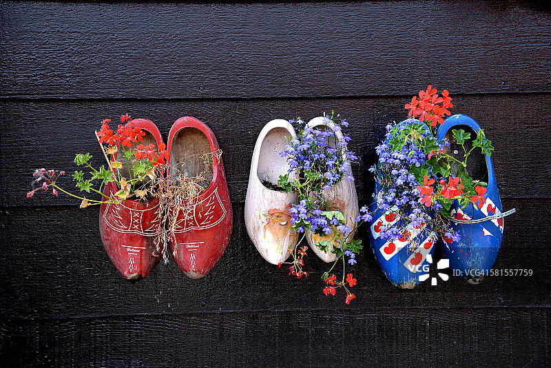 带有鲜花的荷兰木鞋图片素材