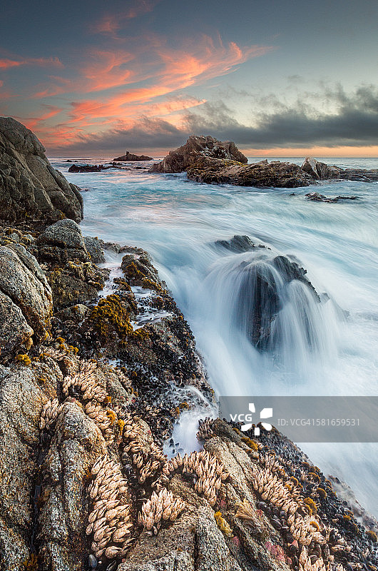 日落时分大瑟尔的加州贻贝图片素材