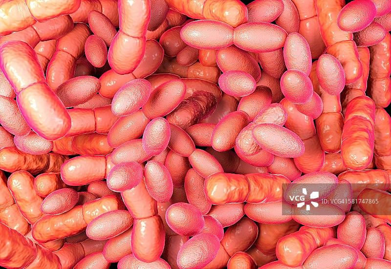 醋酸菌插图图片素材