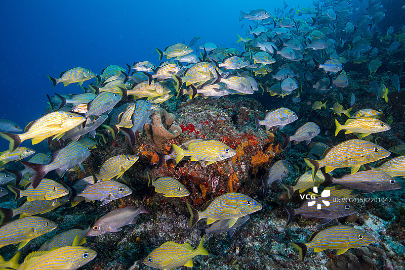色彩斑斓的图片素材