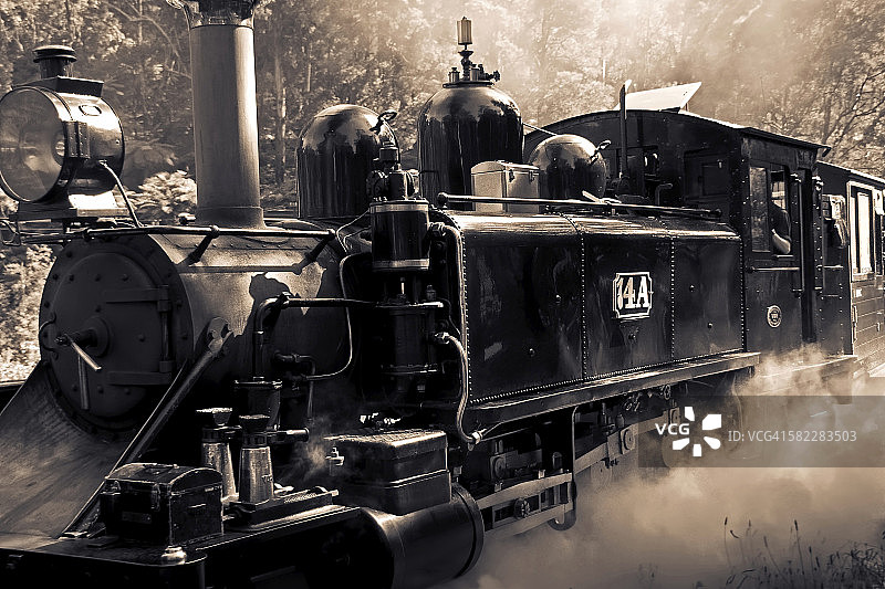 它活着图片素材